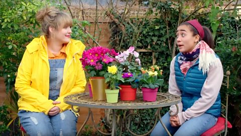 https://www.bbc.co.uk/programmes/articles/Mf5rhbTkHLZ3fbJzScyDvC/primary-science-plants